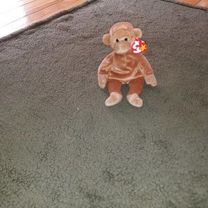 Beanie Babies, Bongo, August 17, 1995